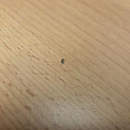  - 2025-09-29 12.58.11