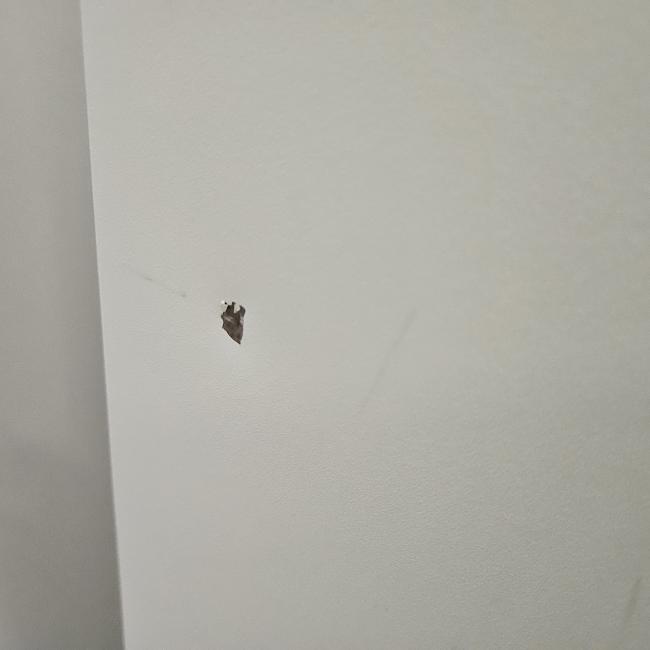  - 2025-10-06 12.05.04