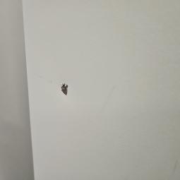  - 2025-10-06 12.05.04