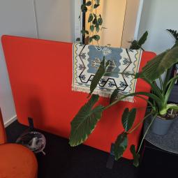  - AKOESTISCHE SCHEIDINGSWAND AFM 160X120 CM BXH ORANJE STOFFERING  (1)