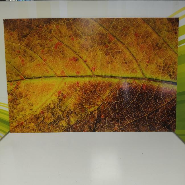  - 2025-12-09 14.40.17