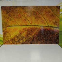  - 2025-12-09 14.40.17