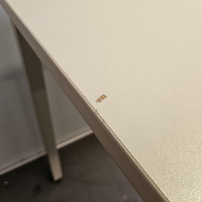  - 2025-12-24 09.25.22