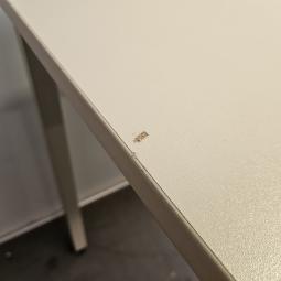  - 2025-12-24 09.25.22