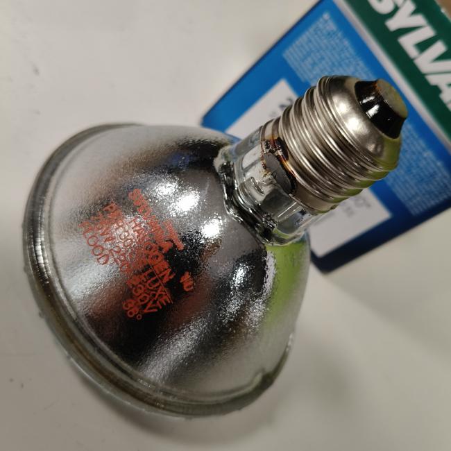  - 2026-01-21 14.28.27