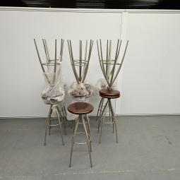  - 2026-01-19 12.03.36