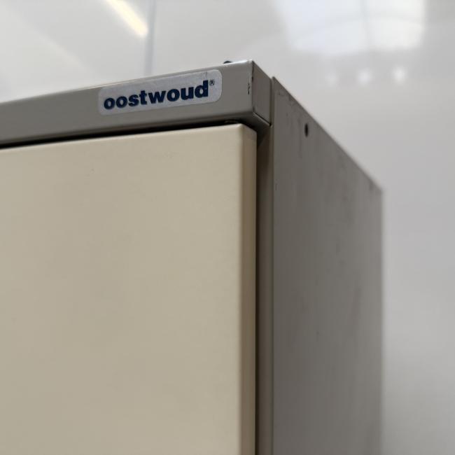  - 2x 10-deurs oostwoud grijs cremewit (3)