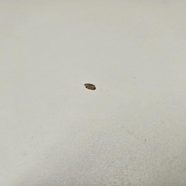  - 2026-03-18 12.02.16