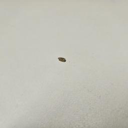  - 2026-03-18 12.02.16