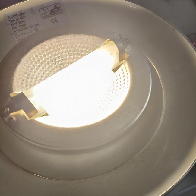  - 2026-03-14 11.58.16