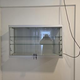  - wand vitrinekast afm 100x60x26 cm  (5)