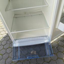  - 2026-04-08 16.46.46