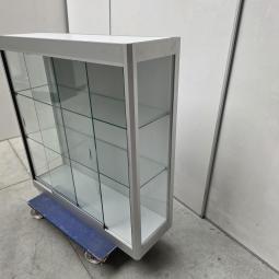  - vitrine afm 100x100x30 cm  (6)