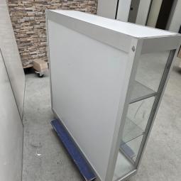  - vitrine afm 100x100x30 cm  (3)