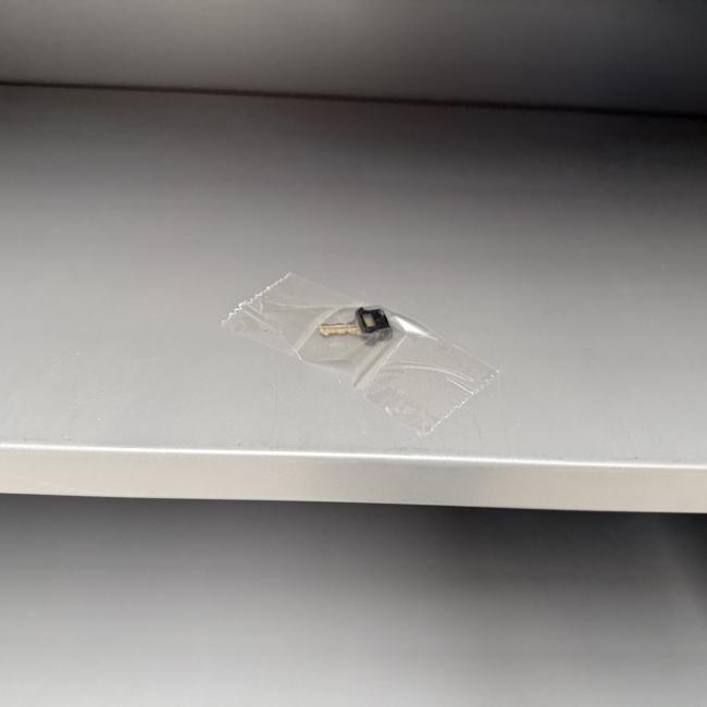  - 3x robberechts 138 cm hoog (15)