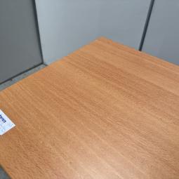  - 1x ahrend zwart beuken (5)