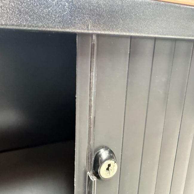  - ahrend zwart beuken met schade  (3)