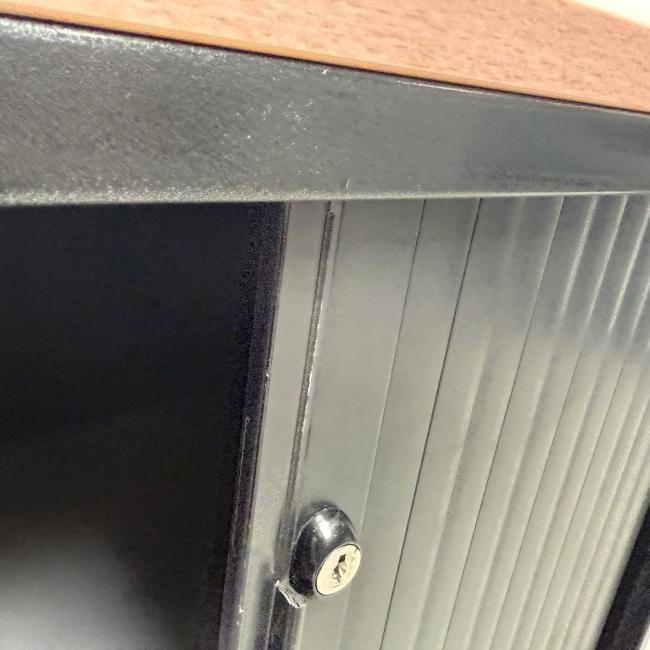 - ahrend zwart beuken met schade  (7)