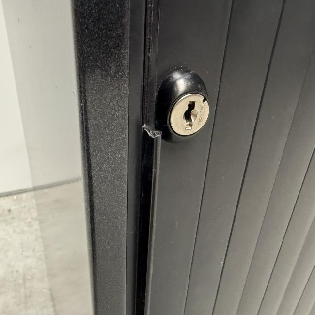  - ahrend zwart beuken met schade  (12)