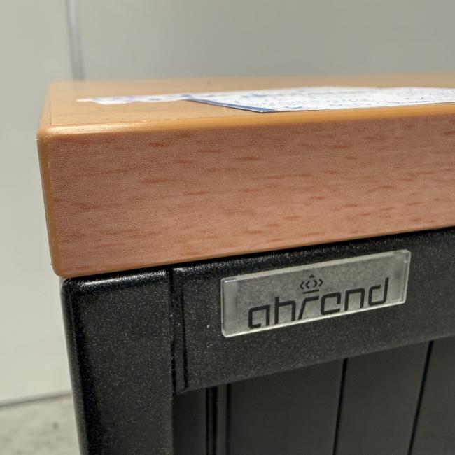  - ahrend zwart beuken met schade  (13)