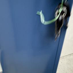  - IMG_E9739
