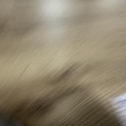 - IMG_E0565
